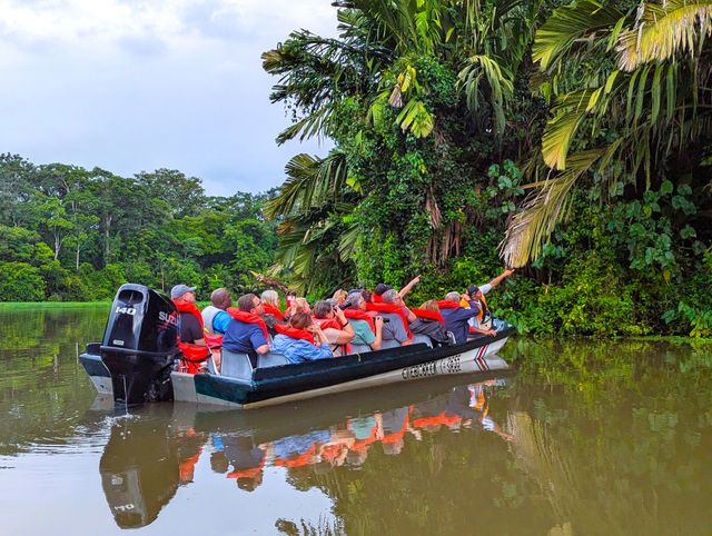 Dieren spotten in Tortuguero